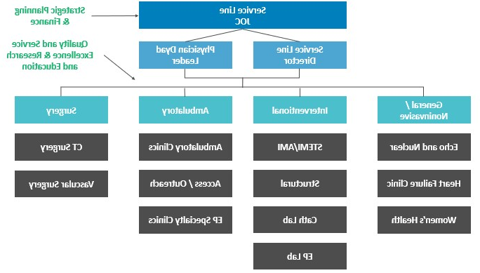 Clinically integrated service line governance model